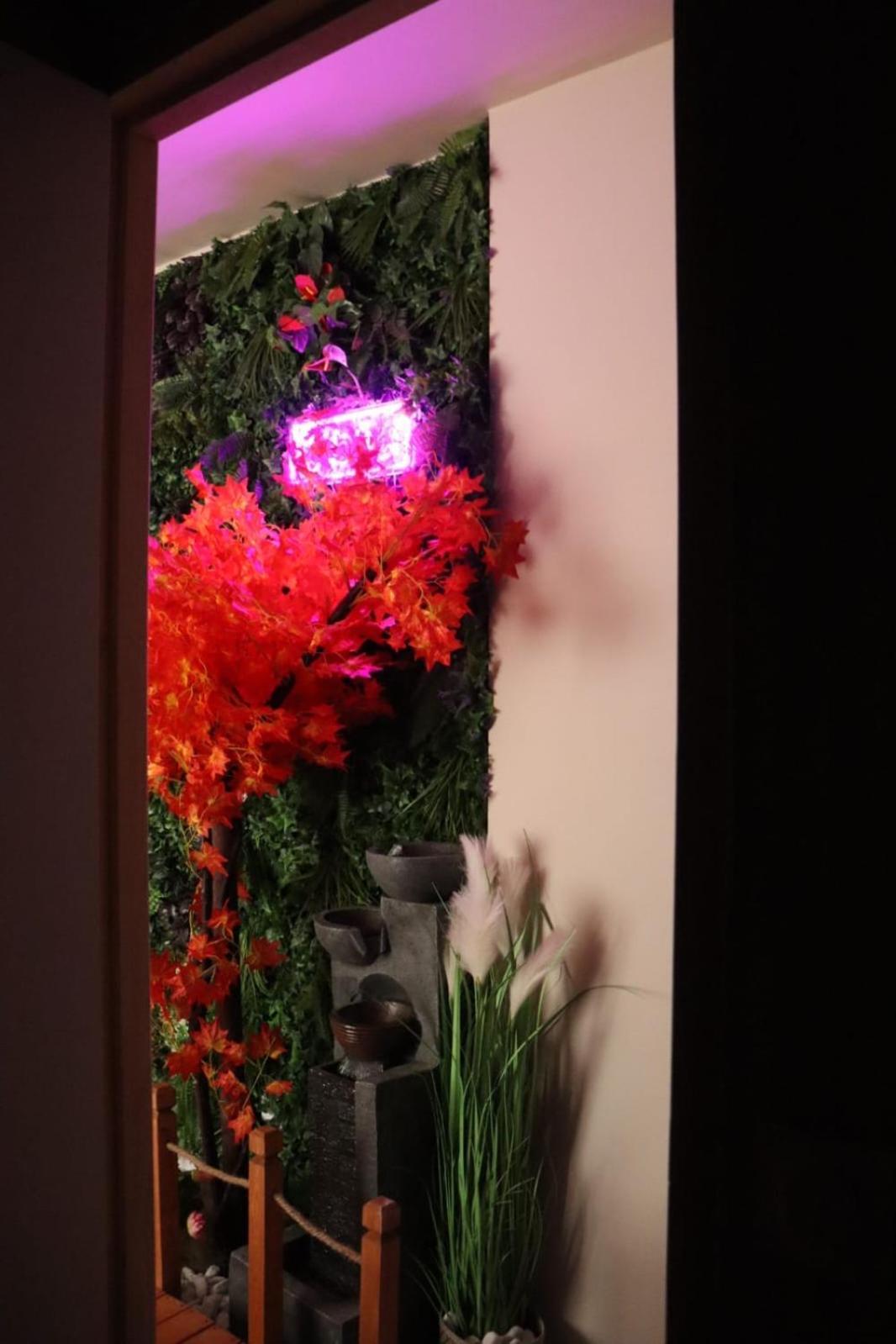 Loveroom Japon Avec Balneotherapie Τουλόν Εξωτερικό φωτογραφία